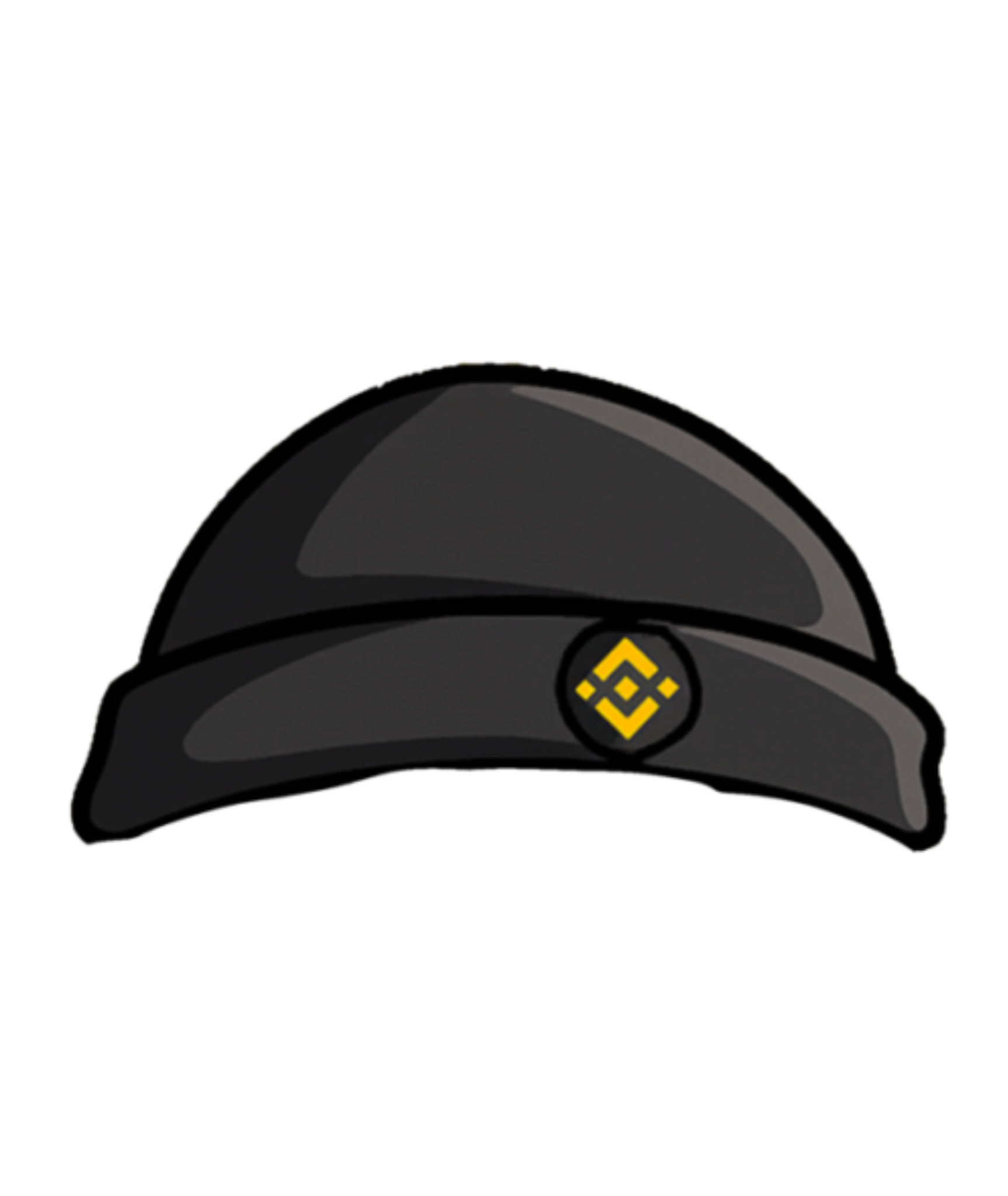 Beanie Hat